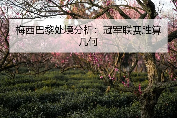 梅西巴黎处境分析：冠军联赛胜算几何 - ued-sports